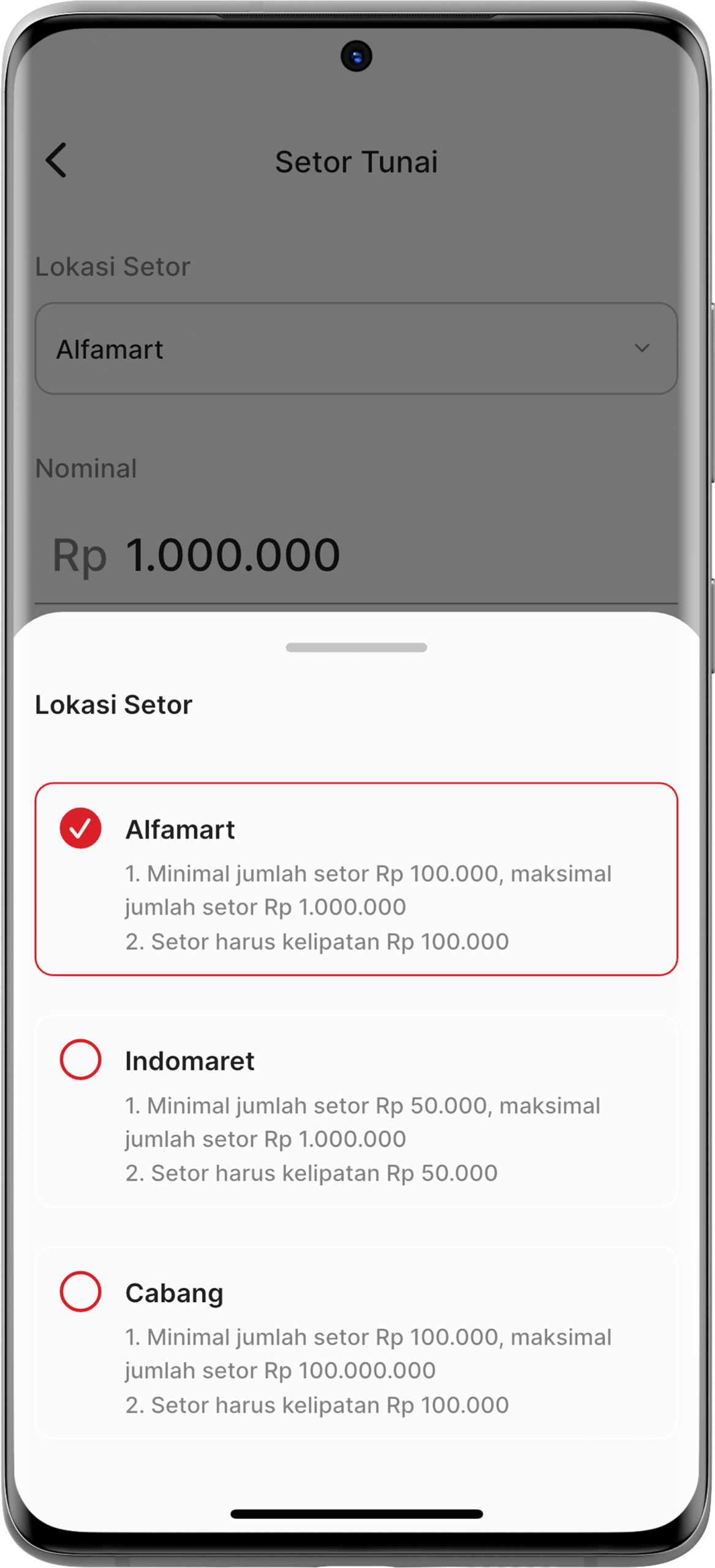 Bina Mobile App